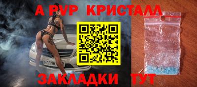 прущие грибы Нальчик