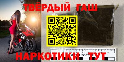 прущие грибы Нальчик