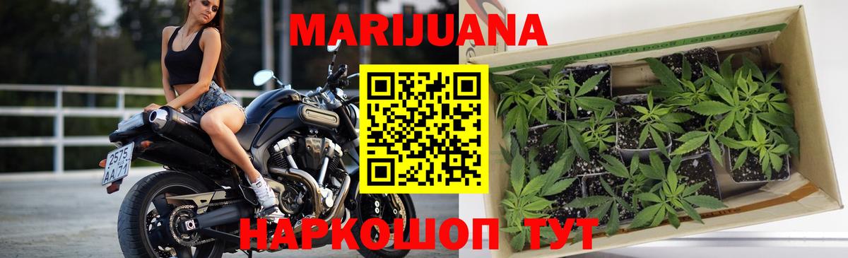 Марихуана SATIVA & INDICA  Канабис SATIVA & INDICA  Марихуана SATIVA & INDICA  Вход с VPN  Марихуана AK-47  Махачкала 